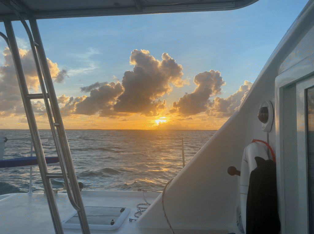 48ft Luxury Catamaran Charter in Miami photo 19