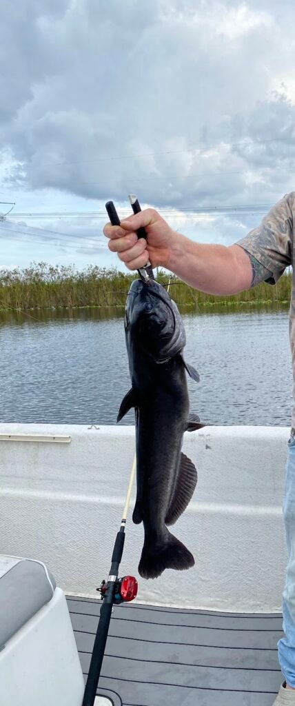 Davie,FL Freshwater Fishing Guide