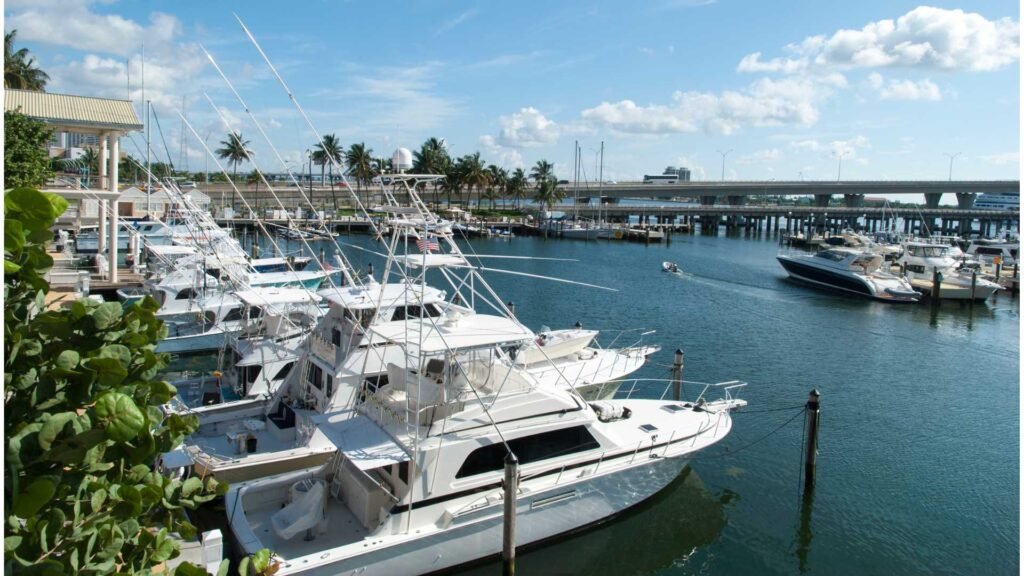 many boats are docked at a marina on a sunny day