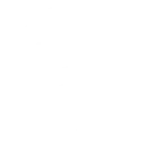 Boat.Rent Icon