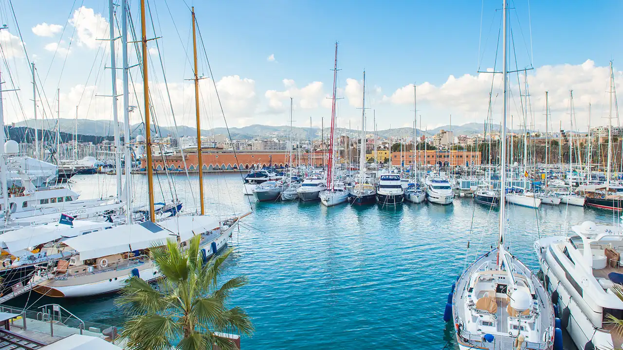 Visit Palma